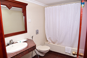 Room Executive Image